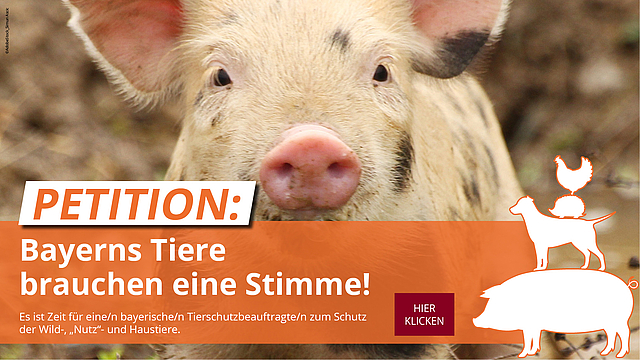 ÖDP-Petition "Bayerns Tiere brauchen eine Stimme!" - hier klicken!
